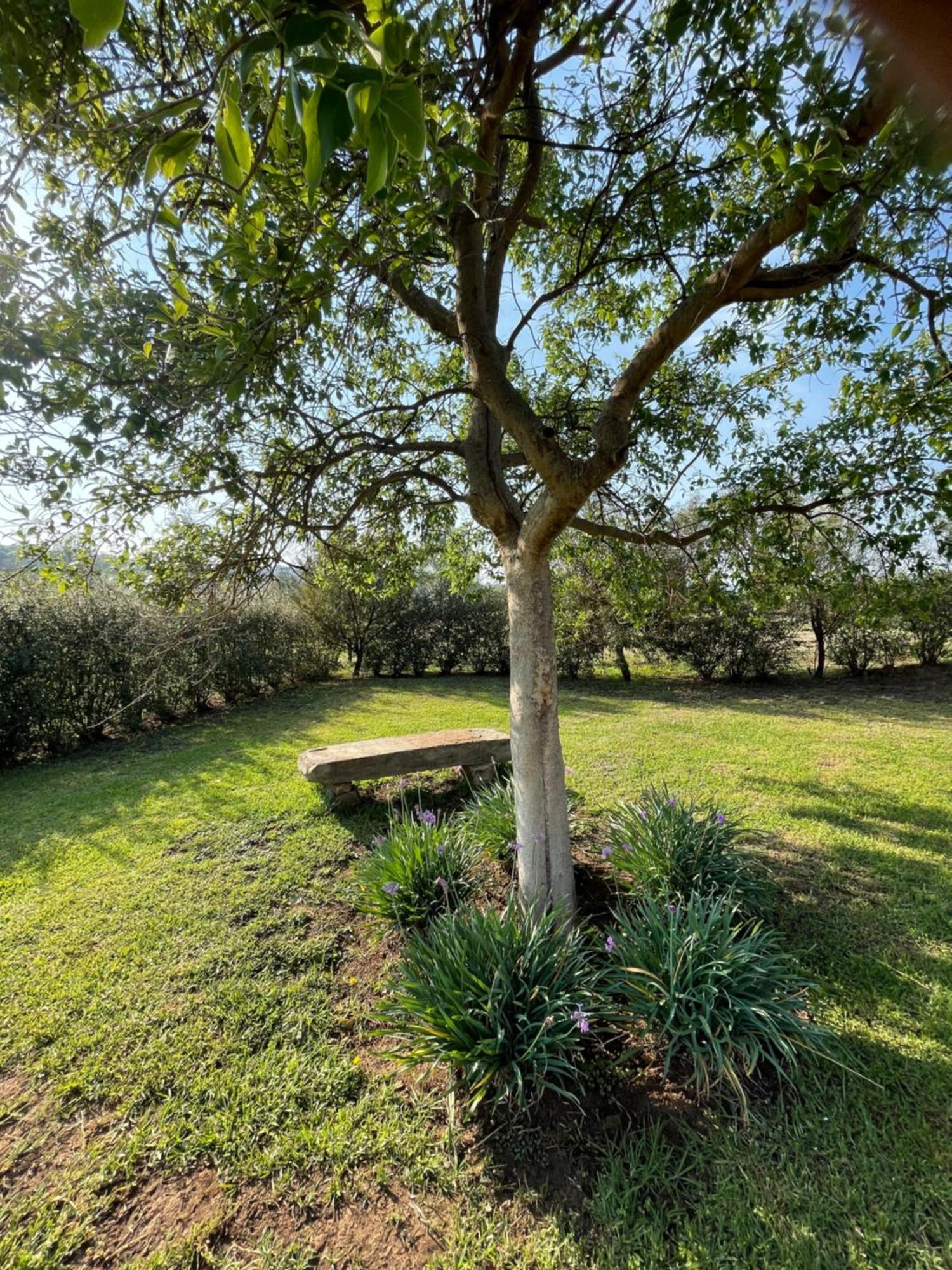 ווינטרטון Tugela River Lodge מראה חיצוני תמונה